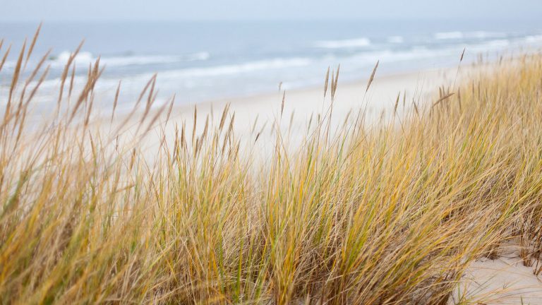 Sierksdorf und Umgebung Sierksdorf und Umgebung