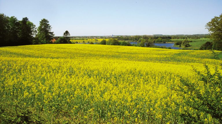 Sierksdorf und Umgebung Sierksdorf und Umgebung