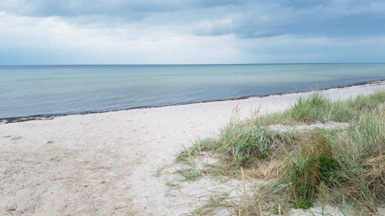 Sierksdorf und Umgebung Sierksdorf und Umgebung