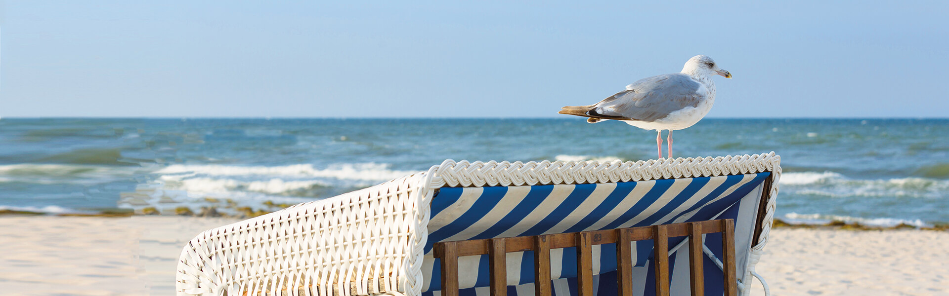 Ferienhaus Willert - Galerie