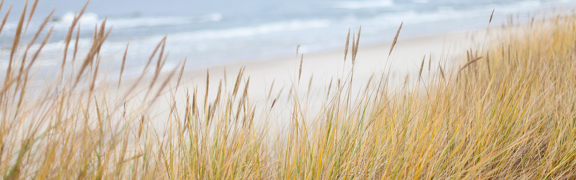 Ferienhaus Willert - Links