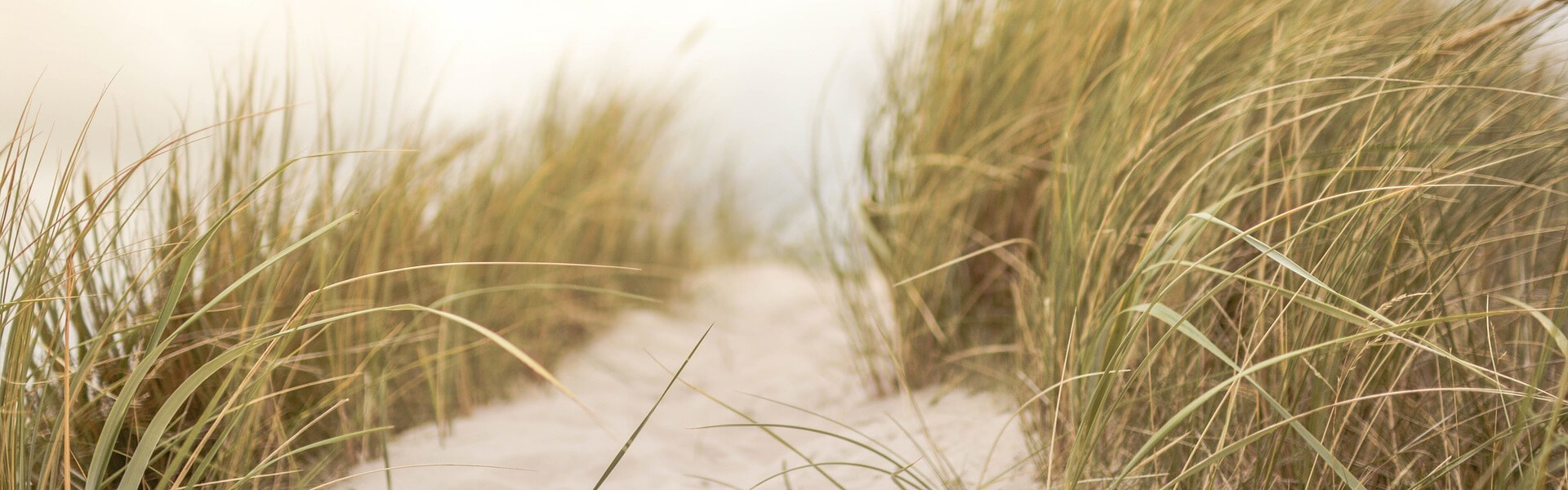 Ferienhaus Willert - Sonstiges